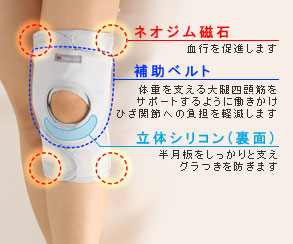 ネオジム磁石がひざの血行を促進