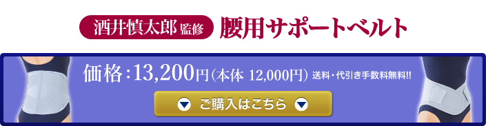 酒井慎太郎監修 腰用サポートベルト ヴァルテックス Vertex 直営販売店 Shop V 酒井慎太郎監修 腰用サポートベルト ヴァルテックス Vertex 直営販売店 Shop V