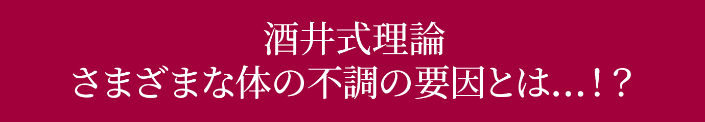 酒井式理論