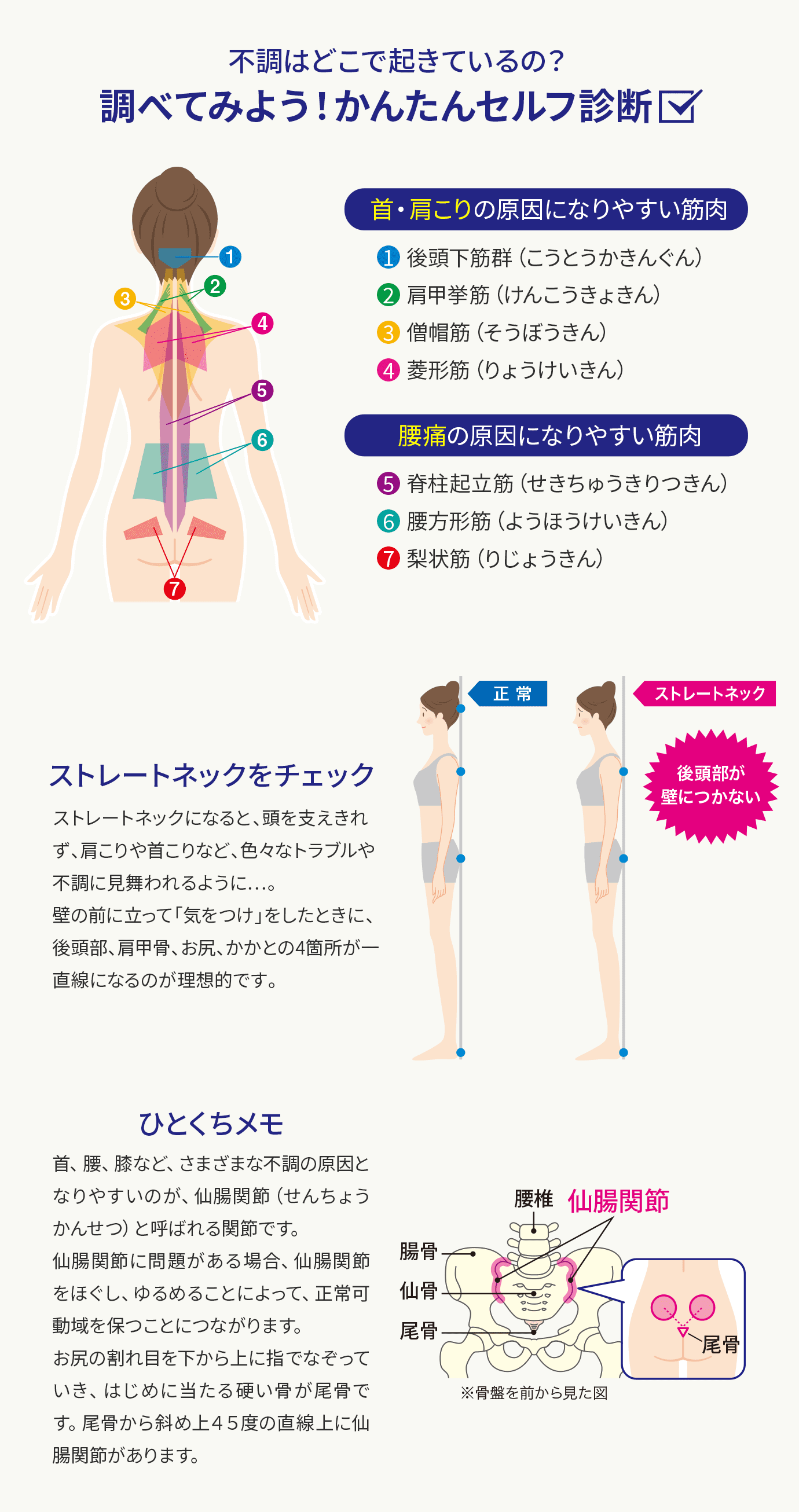 酒井式理論